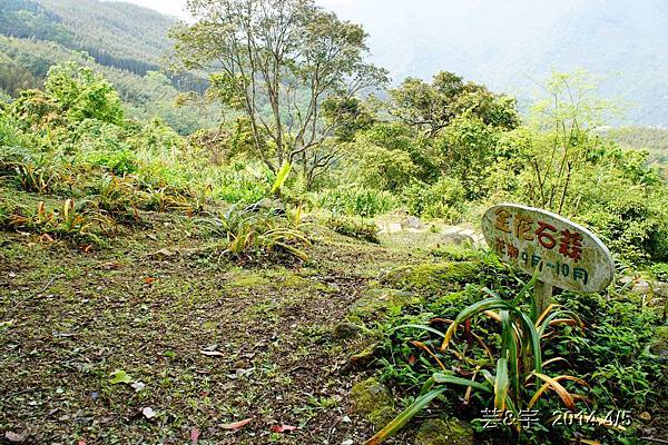 紅磚屋及6號花園59.JPG