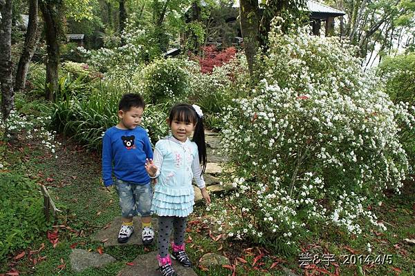 紅磚屋及6號花園101.JPG