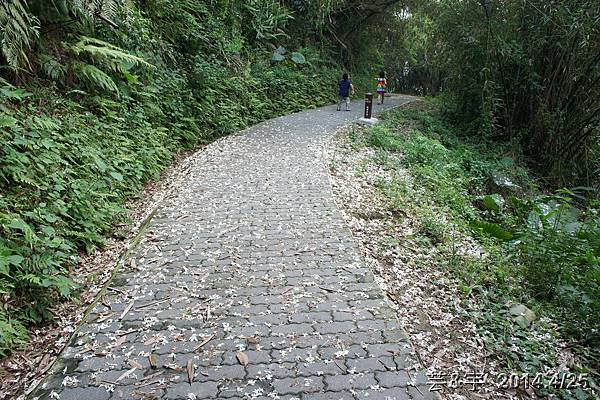 寶山水庫環湖步道7.JPG