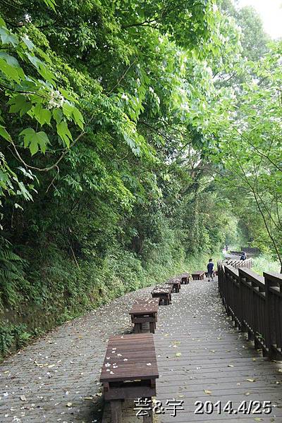 寶山水庫環湖步道9.JPG