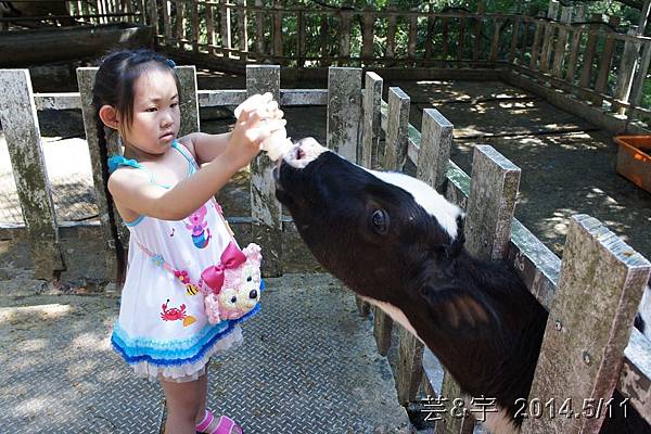 竹南小吃+子母隧道+四方牧場113.JPG