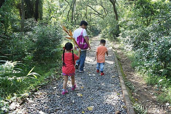 新竹市高峰植物園40.JPG