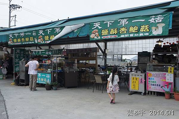 阿亮香菇園+天下第一菇32.JPG