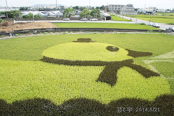 聞香下馬+山腳國小+苑裡稻田彩繪+藺草草博物館+愛情果園67.JPG