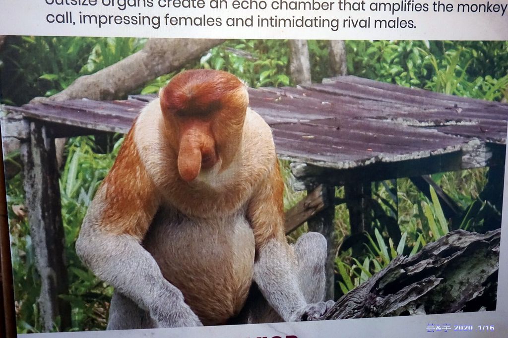 4.JPG
