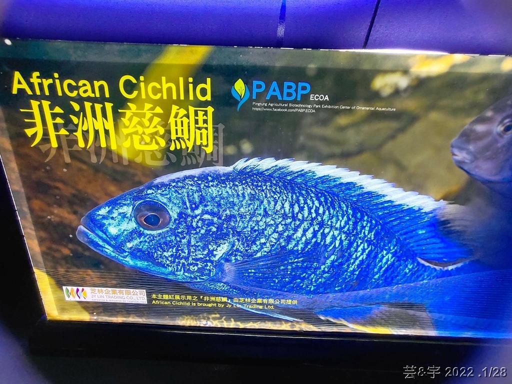 屏東長治 の 農業生物科技園區觀賞水族展示廳  ~認識淡、海