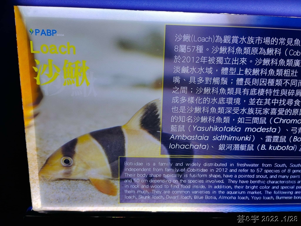 屏東長治 の 農業生物科技園區觀賞水族展示廳  ~認識淡、海