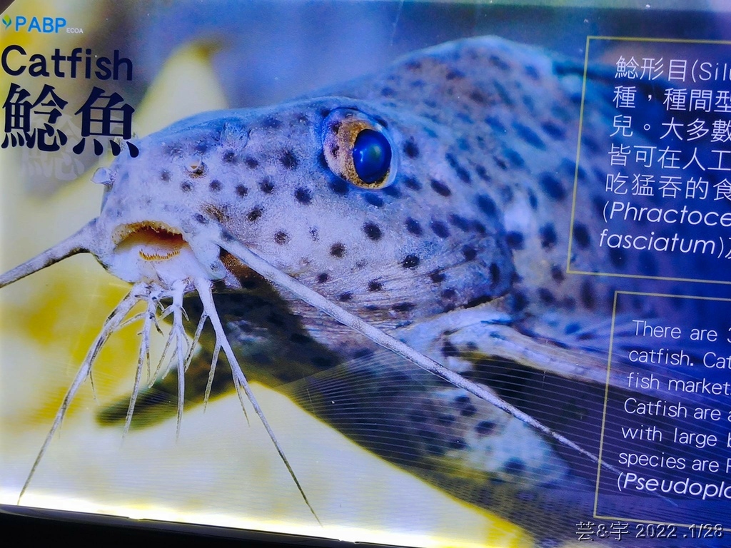 屏東長治 の 農業生物科技園區觀賞水族展示廳  ~認識淡、海