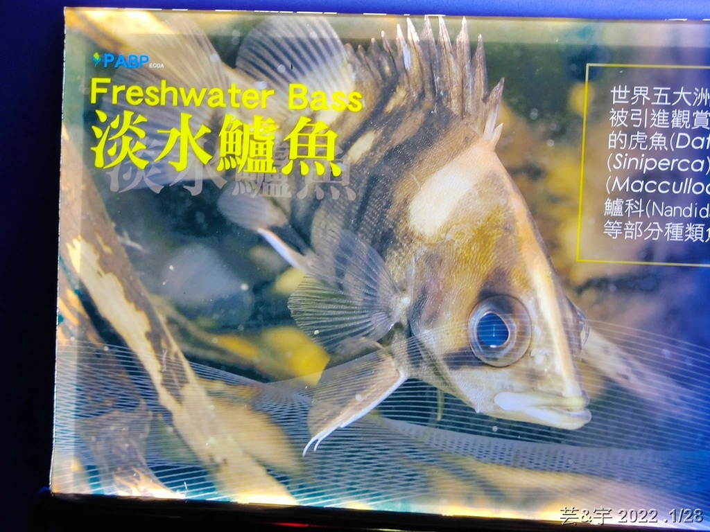 屏東長治 の 農業生物科技園區觀賞水族展示廳  ~認識淡、海