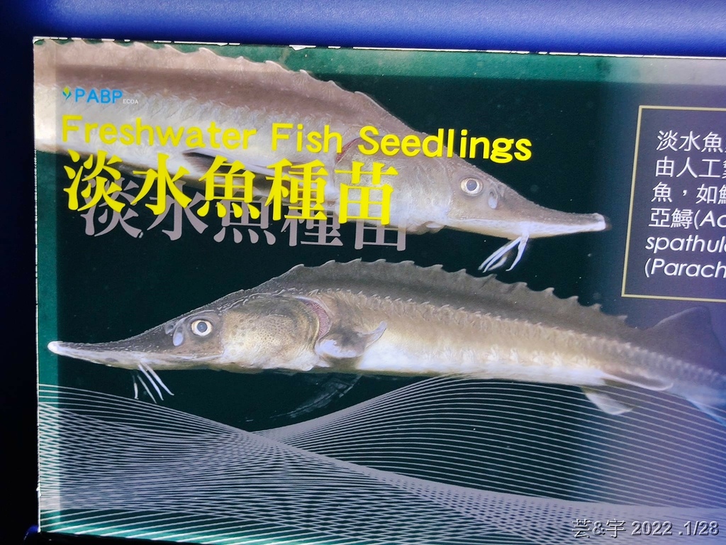 屏東長治 の 農業生物科技園區觀賞水族展示廳  ~認識淡、海