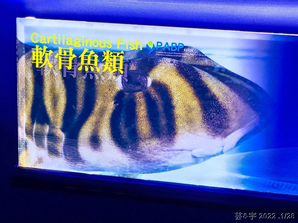 屏東長治 の 農業生物科技園區觀賞水族展示廳  ~認識淡、海