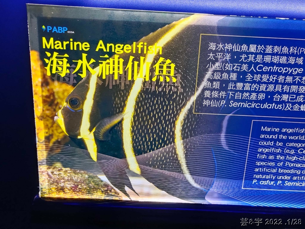 屏東長治 の 農業生物科技園區觀賞水族展示廳  ~認識淡、海