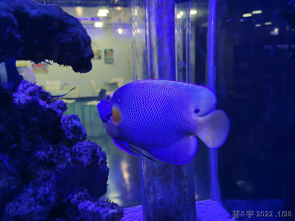 屏東長治 の 農業生物科技園區觀賞水族展示廳  ~認識淡、海