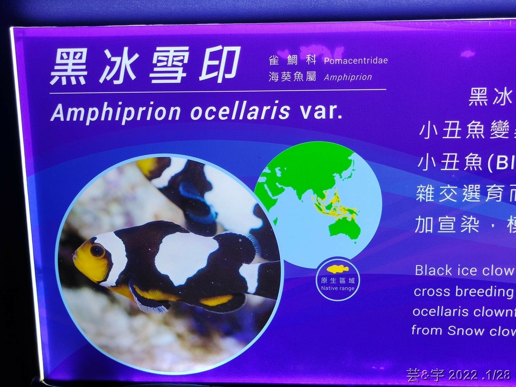 屏東長治 の 農業生物科技園區觀賞水族展示廳  ~認識淡、海