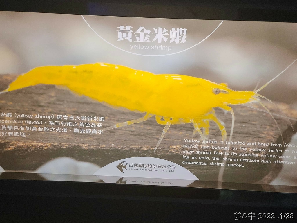 屏東長治 の 農業生物科技園區觀賞水族展示廳  ~認識淡、海