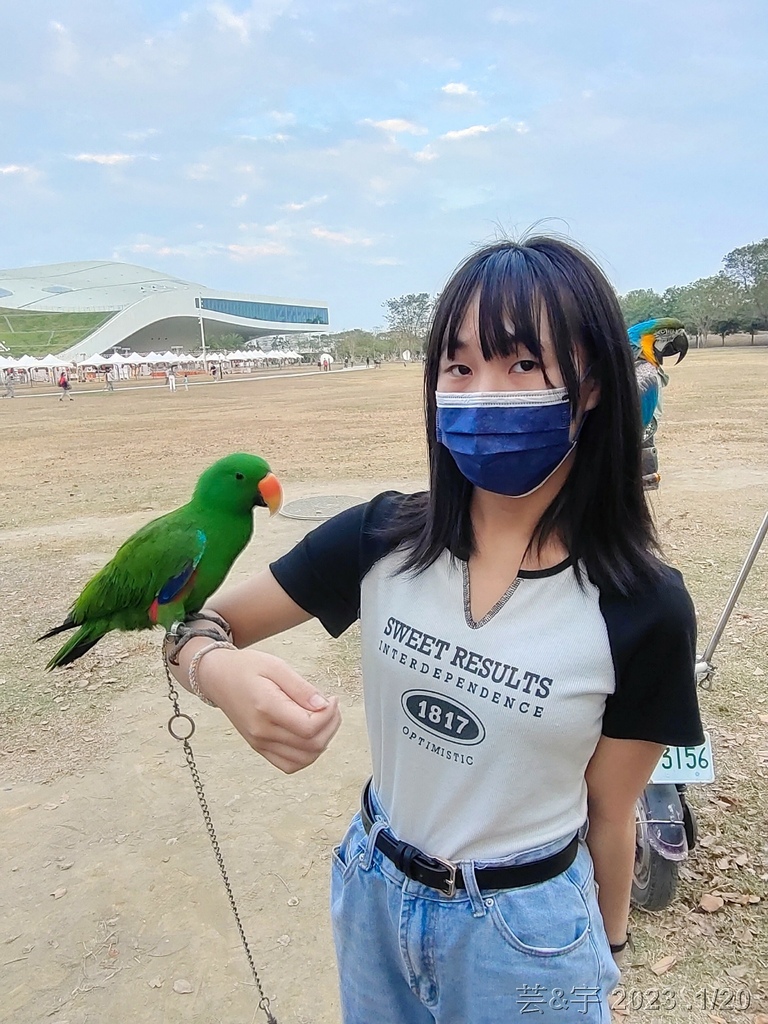 高雄鳳山.苓雅 の 衛武營都會公園巧遇鸚鵡鳥聚