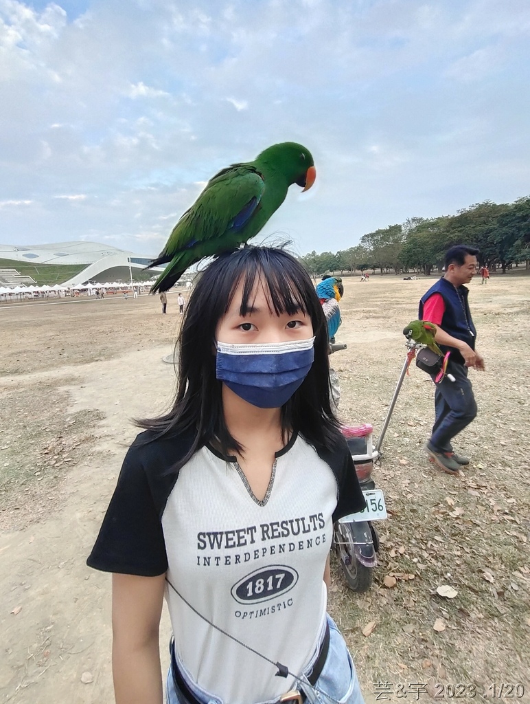 高雄鳳山.苓雅 の 衛武營都會公園巧遇鸚鵡鳥聚