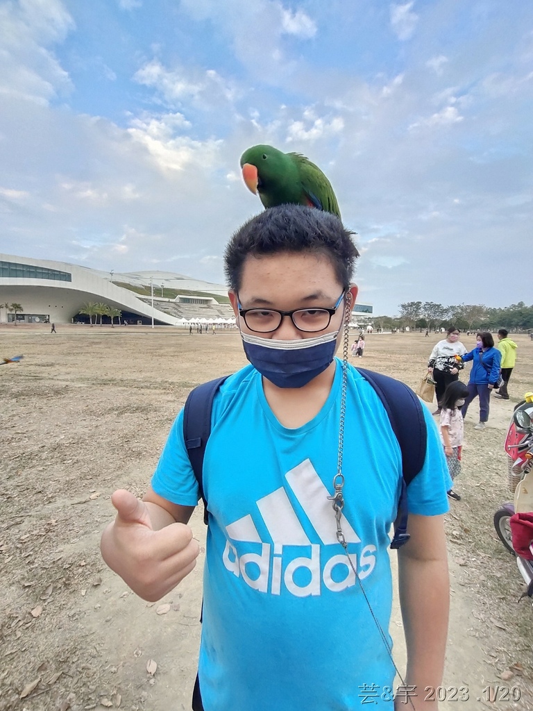 高雄鳳山.苓雅 の 衛武營都會公園巧遇鸚鵡鳥聚