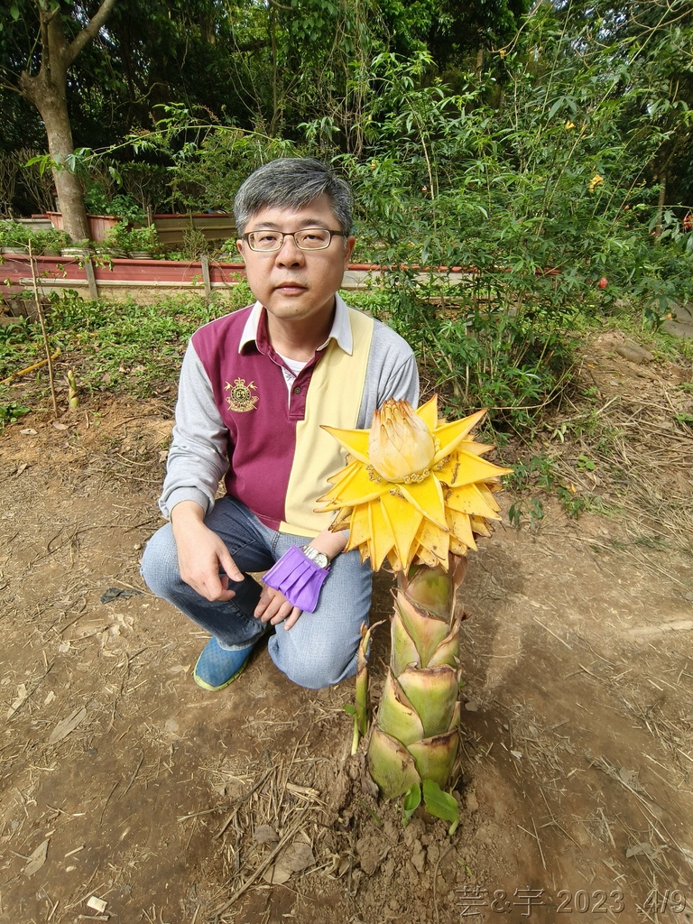 36.jpg