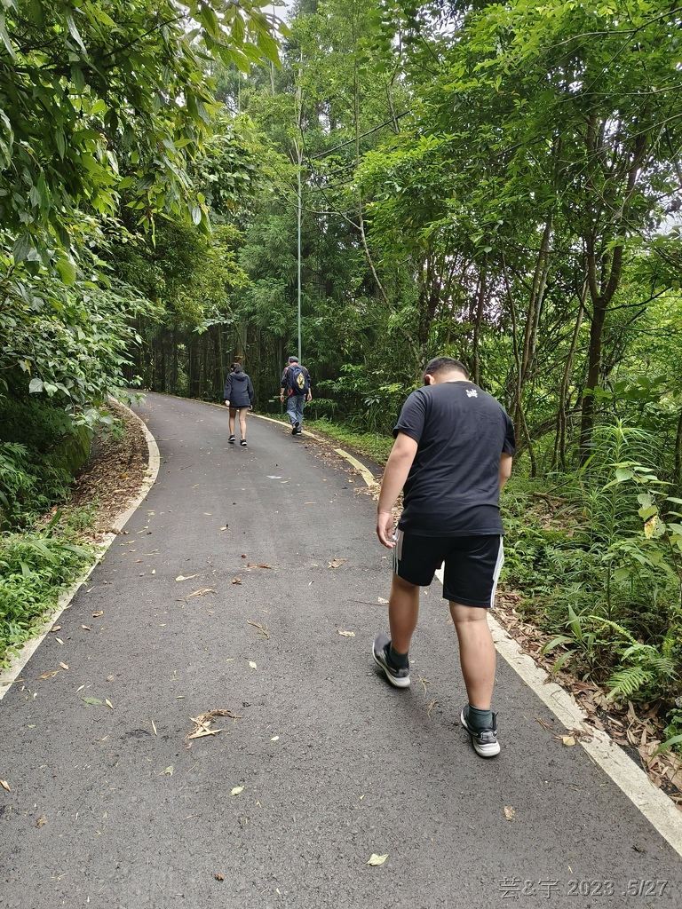 新竹五指山之中指峰 & 無名指峰 & 小指峰