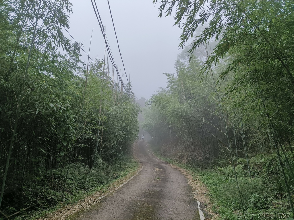 新竹五指山之中指峰 & 無名指峰 & 小指峰