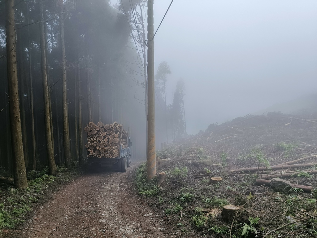 新竹五指山之中指峰 & 無名指峰 & 小指峰