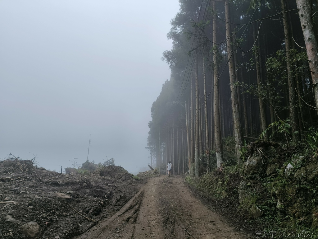 新竹五指山之中指峰 & 無名指峰 & 小指峰