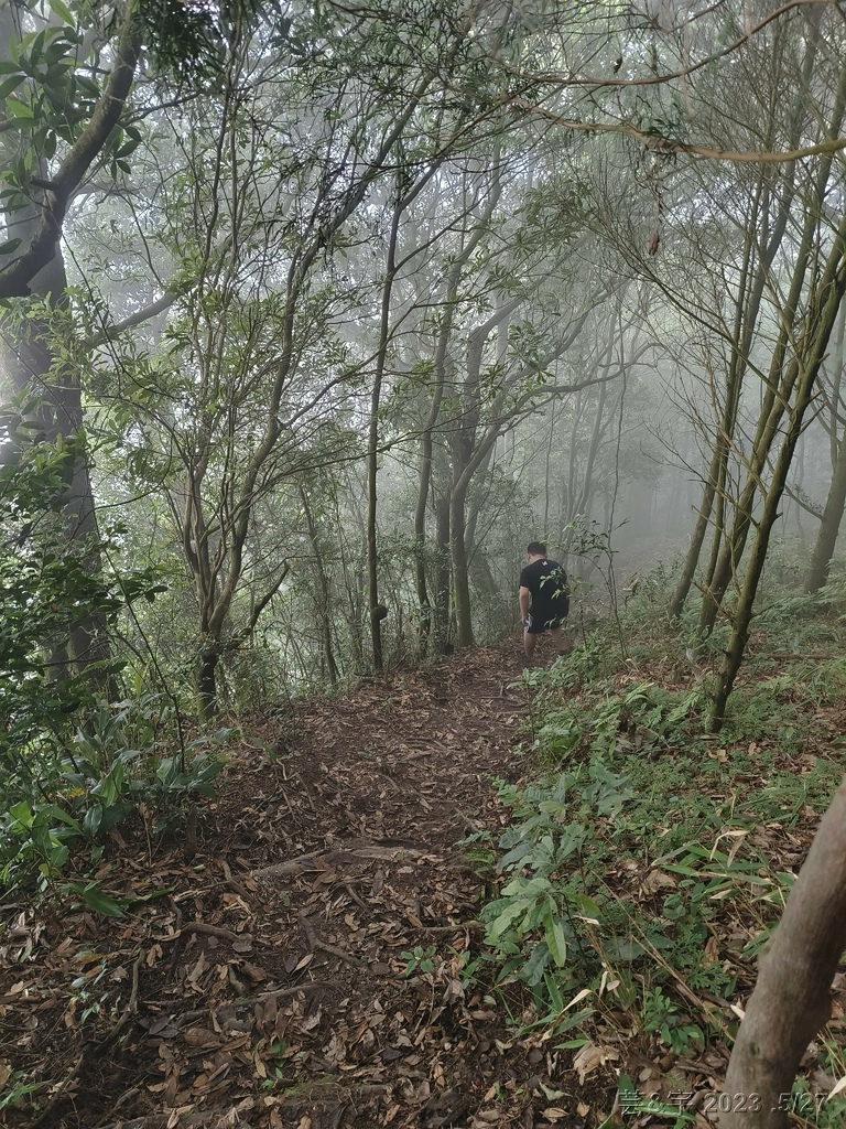 新竹五指山之中指峰 & 無名指峰 & 小指峰