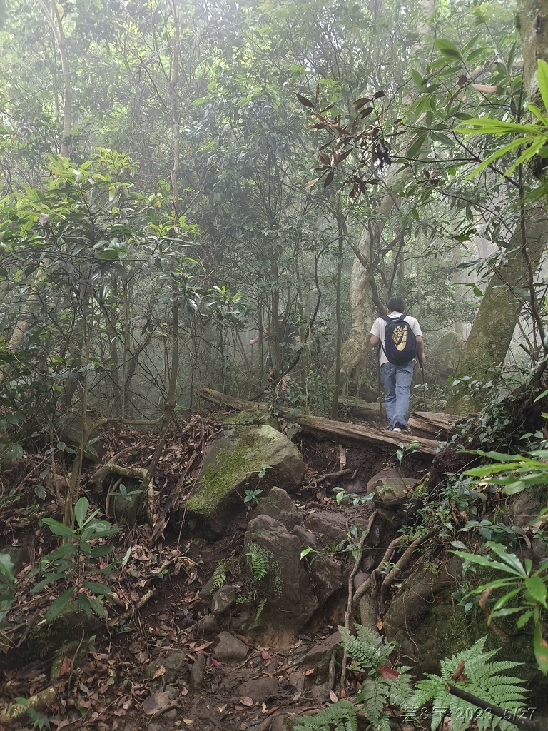 新竹五指山之中指峰 & 無名指峰 & 小指峰