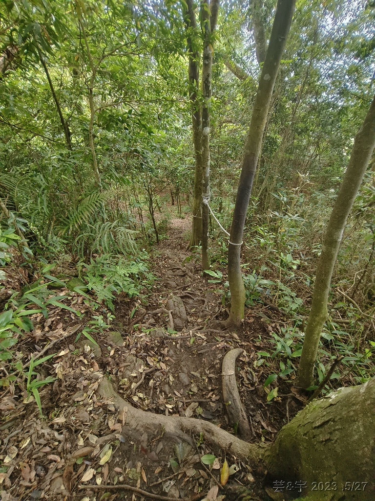 新竹五指山之中指峰 & 無名指峰 & 小指峰