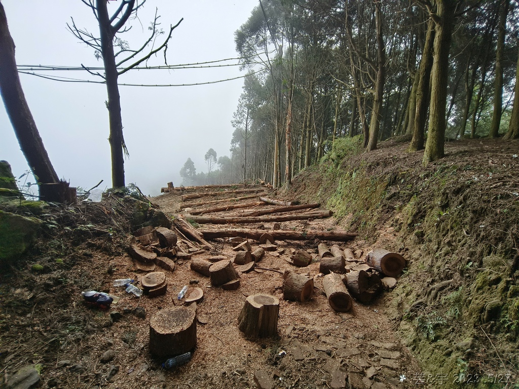 新竹五指山之中指峰 & 無名指峰 & 小指峰