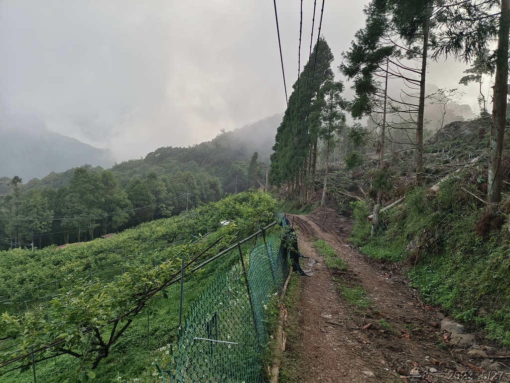 新竹五指山之中指峰 & 無名指峰 & 小指峰