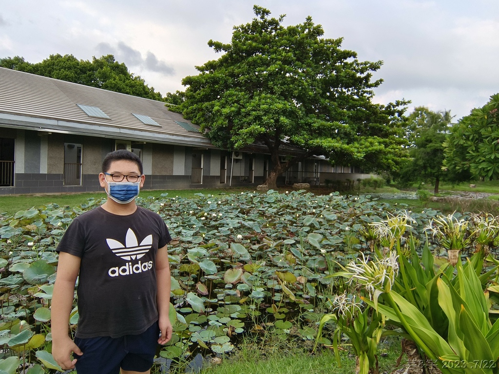 高雄鳳山.苓雅 の 衛武營都會公園巧遇鸚鵡鳥聚