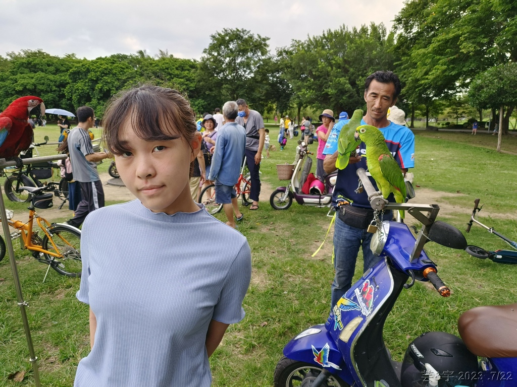 高雄鳳山.苓雅 の 衛武營都會公園巧遇鸚鵡鳥聚