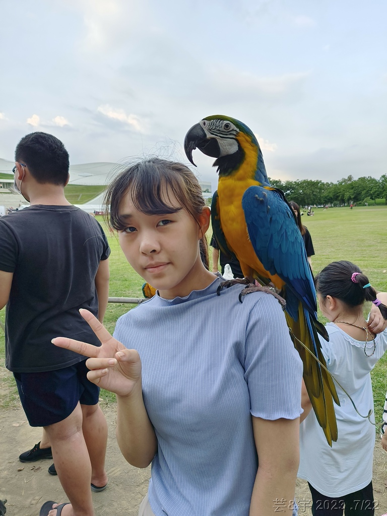 高雄鳳山.苓雅 の 衛武營都會公園巧遇鸚鵡鳥聚