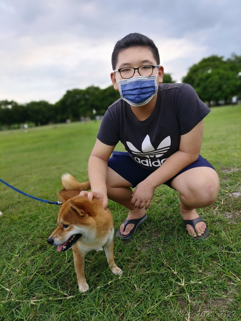 高雄鳳山.苓雅 の 衛武營都會公園巧遇鸚鵡鳥聚