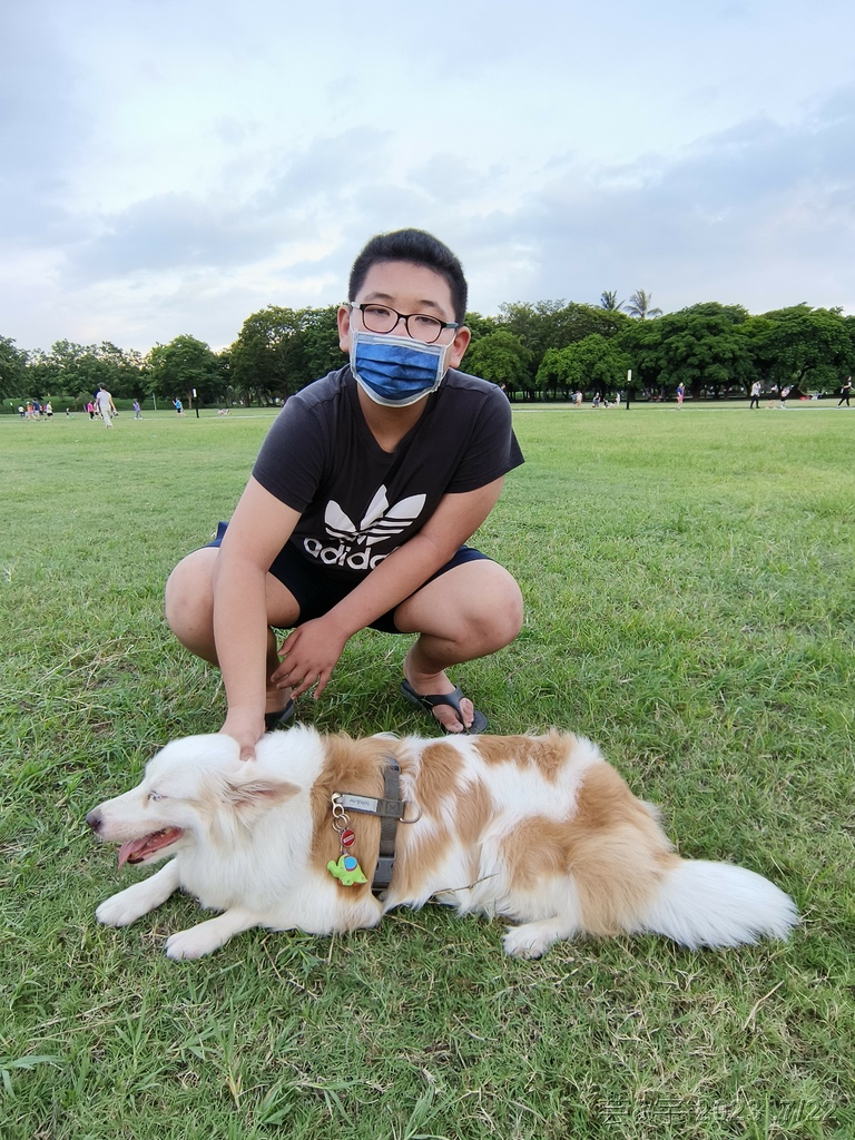 高雄鳳山.苓雅 の 衛武營都會公園巧遇鸚鵡鳥聚