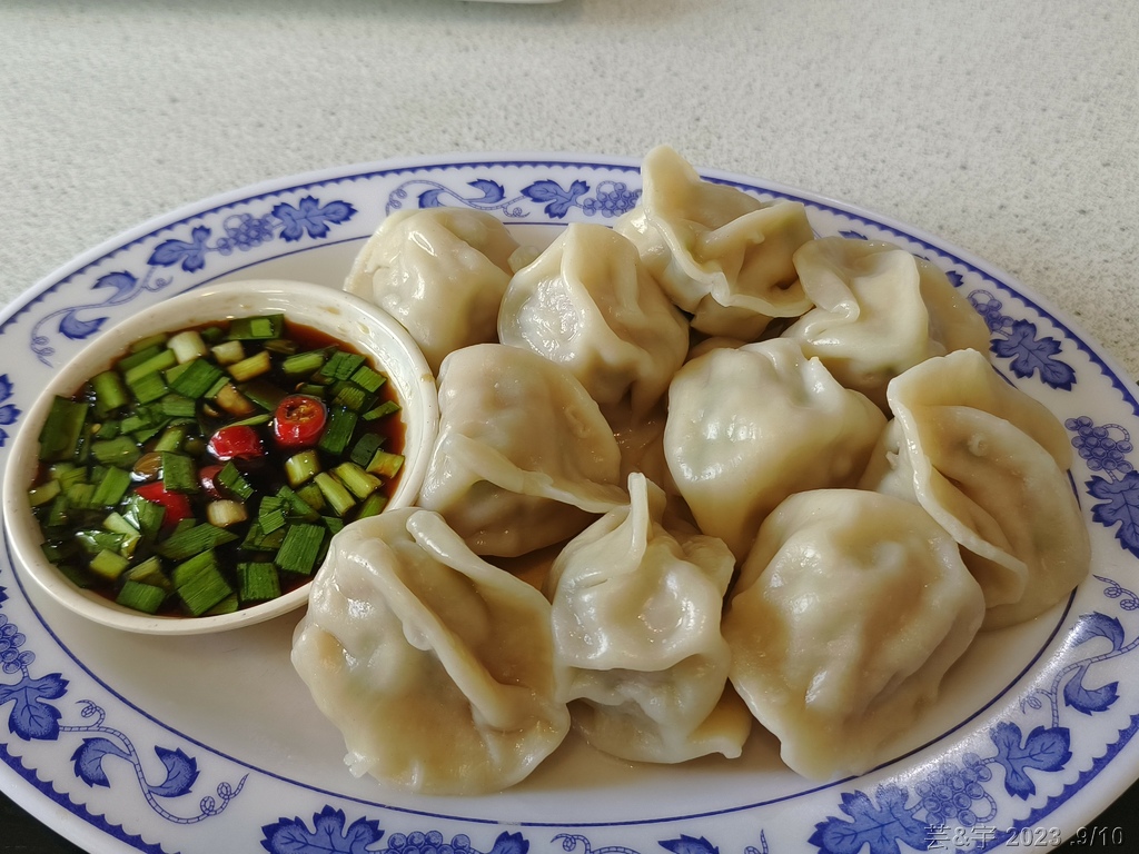 苗栗造橋 の 大坪鴨肉麵 ~必點的糖燻鴨肉~