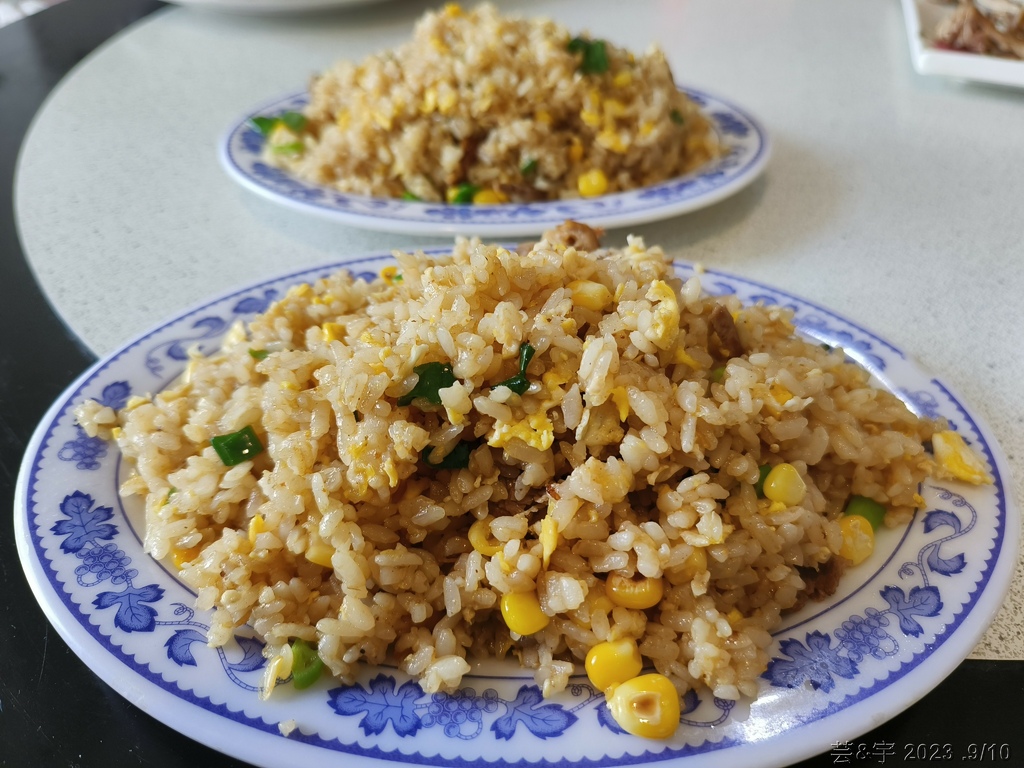 苗栗造橋 の 大坪鴨肉麵 ~必點的糖燻鴨肉~