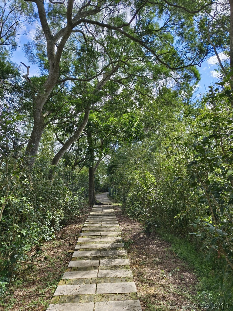 苗栗造橋 の 劍潭古道