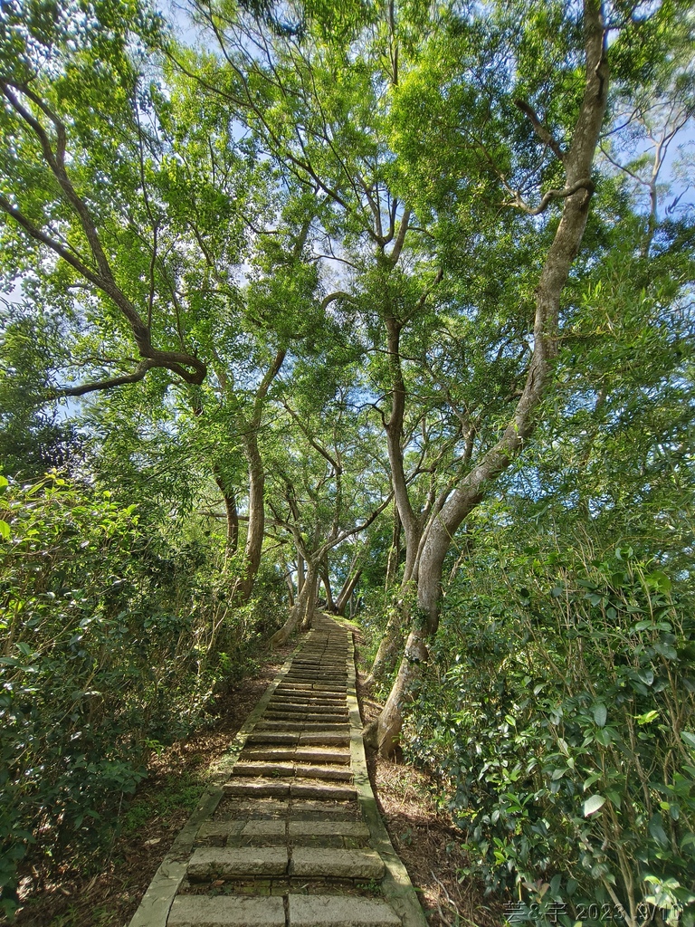 苗栗造橋 の 劍潭古道