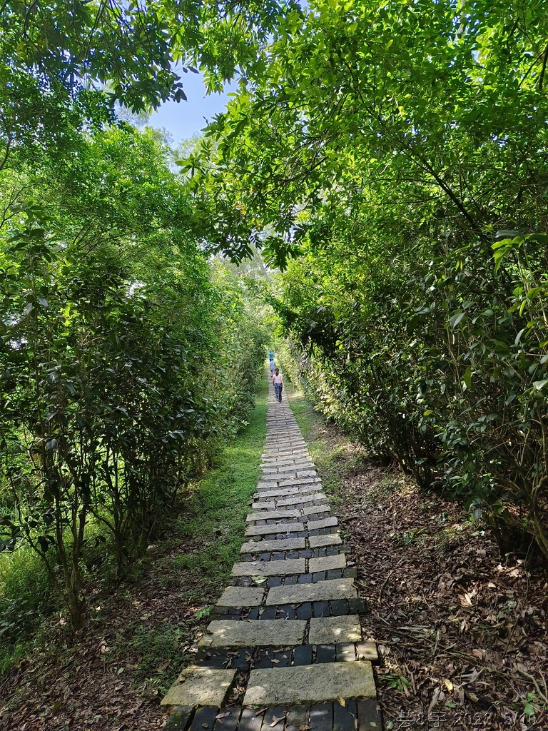 苗栗造橋 の 劍潭古道