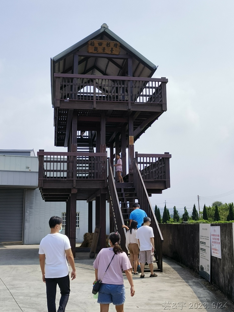 苗栗苑裡 の 藺草博物館 & 苑裡稻田彩繪區