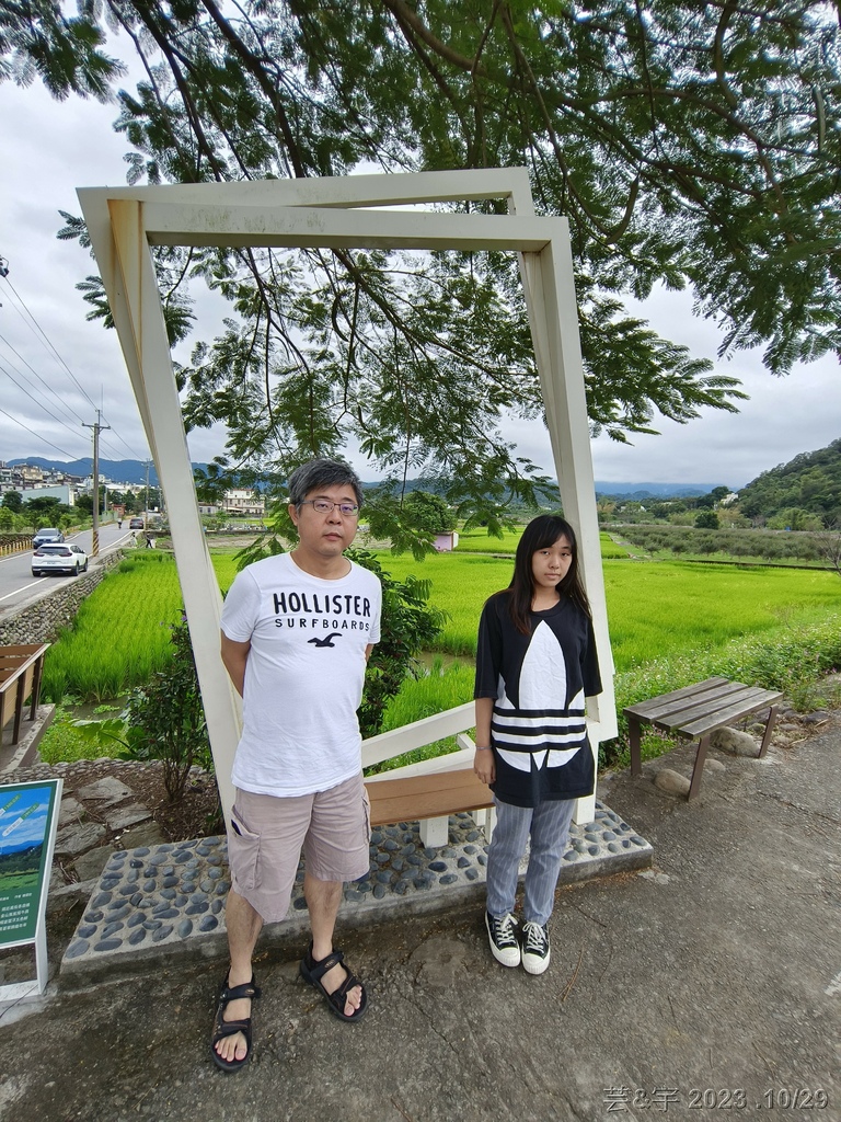 新竹芎林 の 關西金城武樹 & 渡南古道 & 仙草一分田