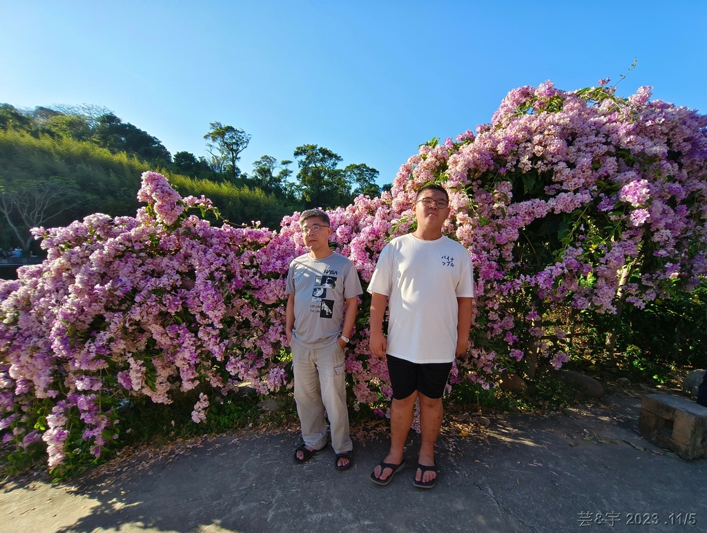 苗栗通霄 の 楓樹里賞藤香蒜花瀑