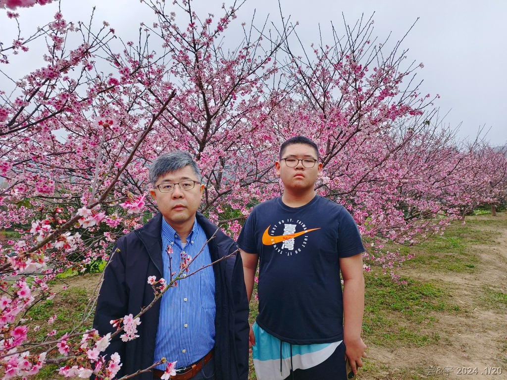 新竹關西 の 關西櫻花秘境 & 關西紅豆餅 & 關西牛肉捲餅