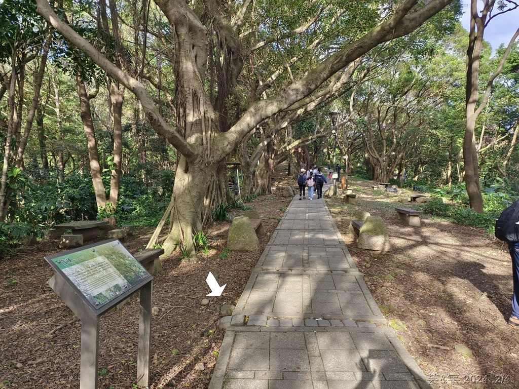 桃園虎頭山公園 の 虎頭山南南峰 & 虎頭山南峰 & 三分山