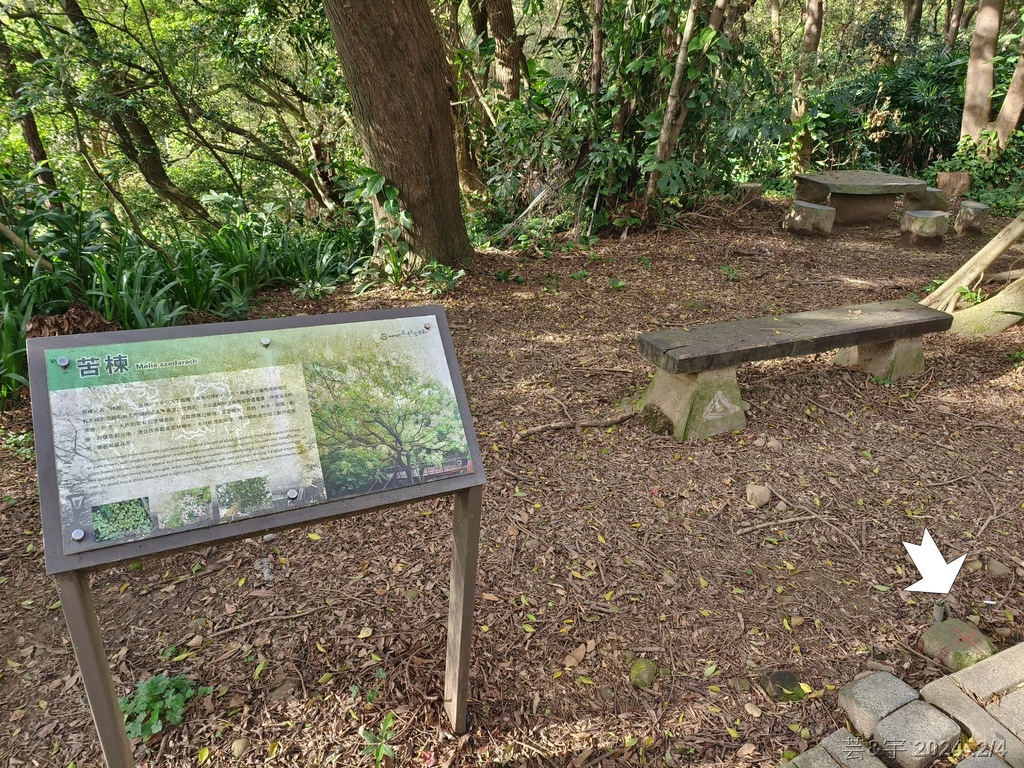 桃園虎頭山公園 の 虎頭山南南峰 & 虎頭山南峰 & 三分山