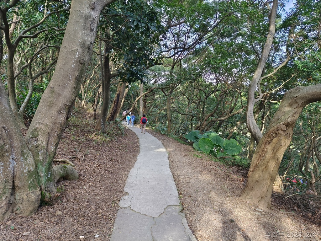 桃園虎頭山公園 の 虎頭山南南峰 & 虎頭山南峰 & 三分山