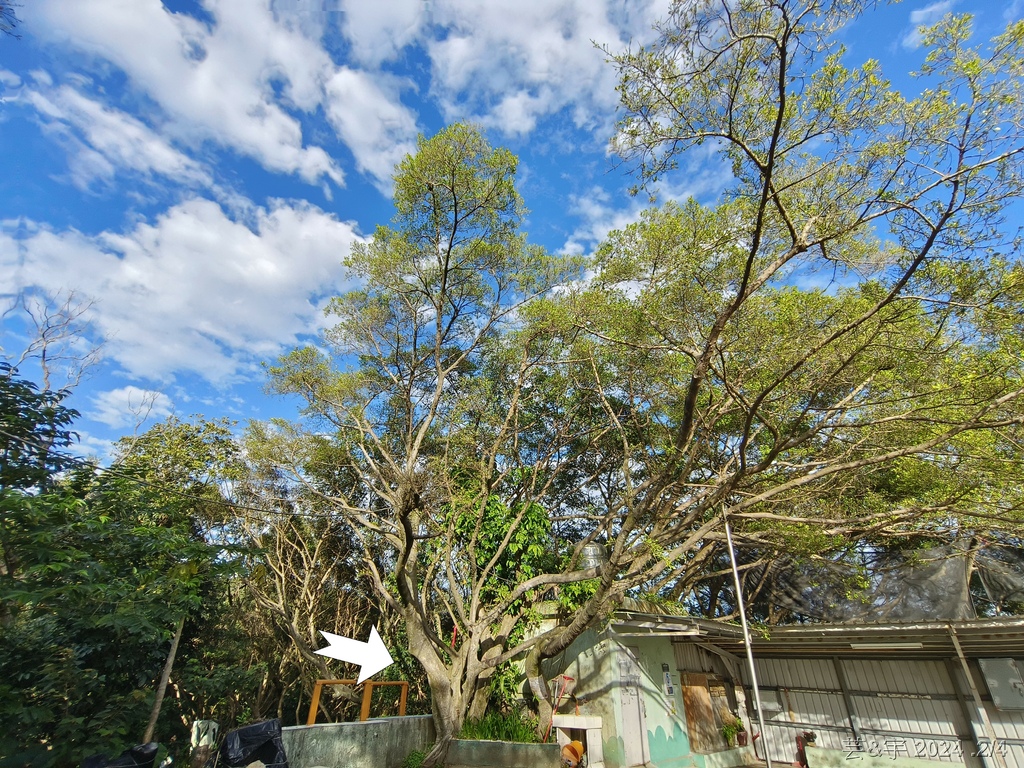 桃園虎頭山公園 の 虎頭山南南峰 & 虎頭山南峰 & 三分山